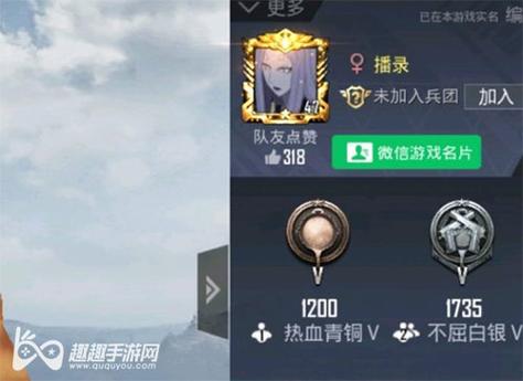 和平精英辅助《星辰》新赛季和平纯一体直装热更新项目震撼上市